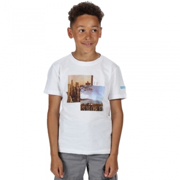 Regatta Boys Bosley III Cotton Graphic Printed T Shirt Tee 11-12 Years - Chest 75-79cm (Height 146-152cm)