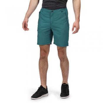 Regatta Mens Leesville II Polyamide Elasticared Shorts 32 - Waist 32' (81cm)