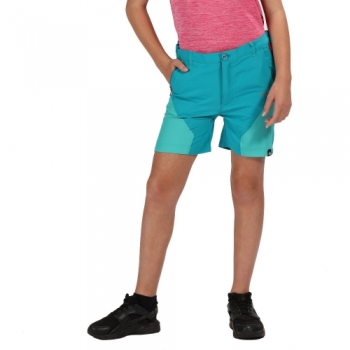 Regatta Boys & Girls Sorcer Mountain Water Repellent Shorts 11-12 Years - Waist 65-67cm (Height 146-152cm)