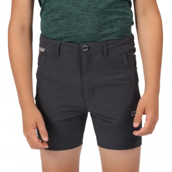 Regatta Boys Highton Active Stretch Water Repellent Shorts 9-10 Years - Waist 61-64cm (Height 135-140cm)