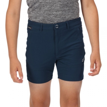 Regatta Boys Highton Active Stretch Water Repellent Shorts 13 Years - Waist 67-68cm (Height 153-158cm)