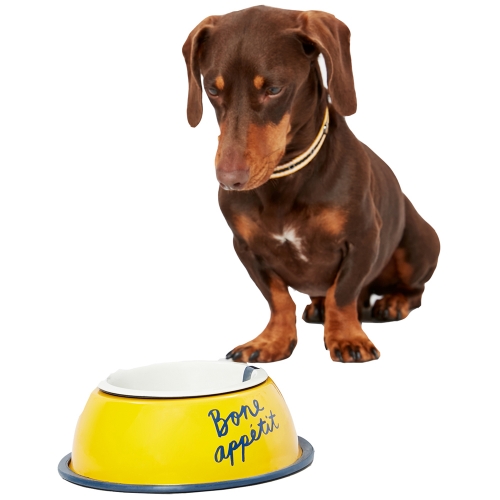 Joules Dog Bone Apetite' Non Slip Stainless Steel Dog Bowl One Size