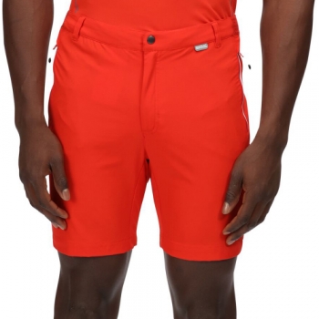 Regatta Mens Mountain II Durable Water Repellent Shorts 36- Waist 36' (91.5cm)