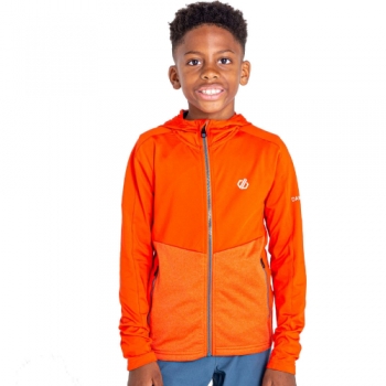 Dare 2B Boys Hastily Core Stretch Quick Dry Full Zip Hoodie 15 Years - Chest 86-98cm (Height 164-170cm)