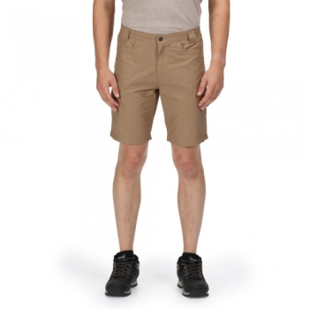 Regatta Mens Delgado Cotton Elasticated Walking Shorts 36 - Waist 36' (91.5cm), Inside Leg 32'