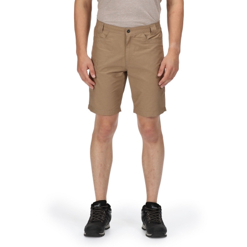 Regatta Mens Delgado Cotton Elasticated Walking Shorts 36 - Waist 36' (91.5cm), Inside Leg 32'