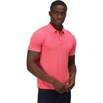 Regatta Mens Tadeo Coolweave Cotton Short Sleeve Polo Shirt M- Chest 39-40' (99-101.5cm)