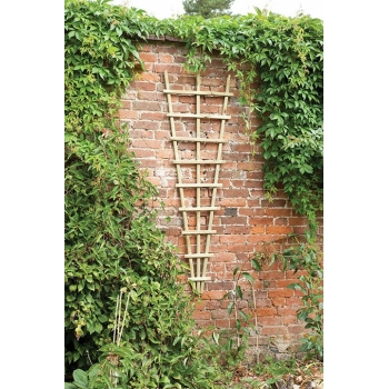 Forest Garden Traditional Fan Trellis 180 x 60cm