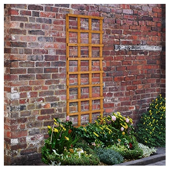 Forest Garden Heavy Duty Trellis 183 x 61cm