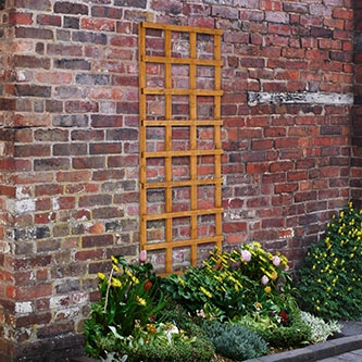 Forest Garden Heavy Duty Trellis 183 x 61cm