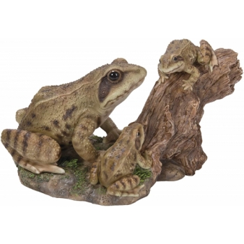 Vivid Arts Real Life Playful Mother Baby Frogs - Size B