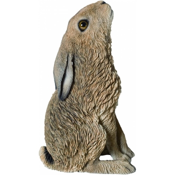 Vivid Arts Real Life Moon Gazing Hare - Size D