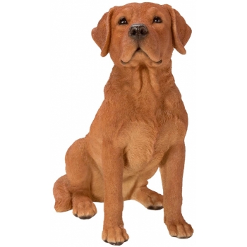 Vivid Arts Real Life FoxRed Labrador - Size B