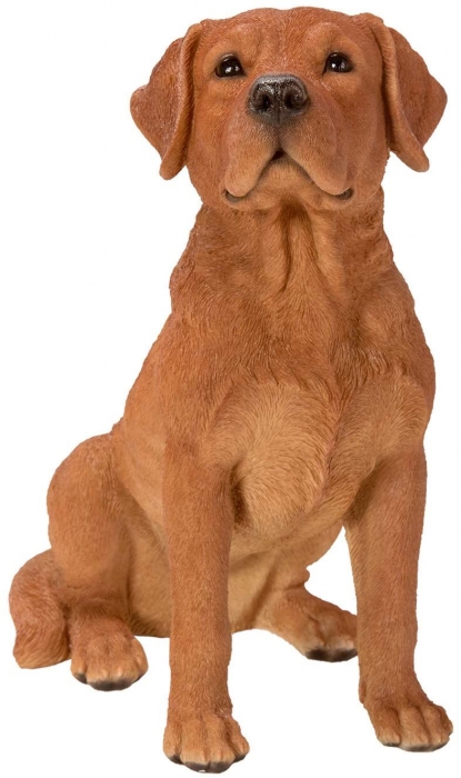 Vivid Arts Real Life FoxRed Labrador - Size B