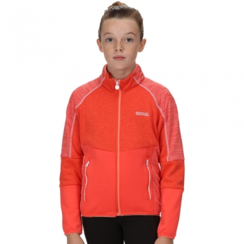 Regatta Girls Oberon V Reflective Softshell Jacket 15 Years - Chest 86-98cm (Height 164-170cm)