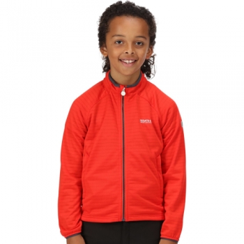 Regatta Girls Highton Reflective Stretchy Softshell Jacket 13 Years - Chest 79-83cm (Height 153-158cm)