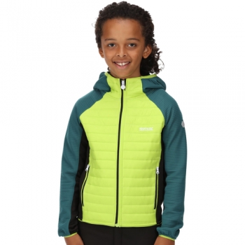 Regatta Boys Kielder Hybrid V Durable Softshell Jacket 14 Years - Chest 86-98cm (Height 164-170cm)