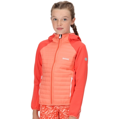 Regatta Girls Kielder Hybrid V Durable Softshell Jacket 11-12 Years - Chest 75-79cm (Height 146-152cm)