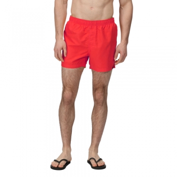 Regatta Mens Wayde Quick Drying Elasticated Swim Shorts 3XL- Waist 46-48', (117-122cm)