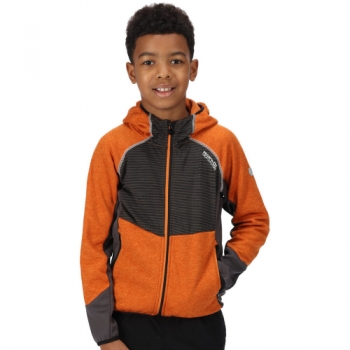 Regatta Boys Prenton Full Zip Hooded Fleece Jacket 5-6 Years - Chest 59-61cm (Height 110-116cm)