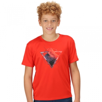 Regatta Boys Alvarado VI Quick Drying Short Sleeve T Shirt 7-8 Years - Chest 63-67cm (Height 122-128cm)