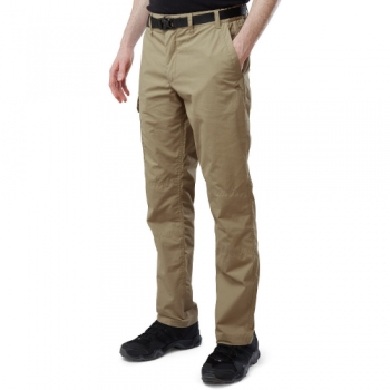 Craghoppers Mens Kiwi Slim NosiDefence Walking Trousers 40S - Waist 40' (102cm), Inside Leg 29'