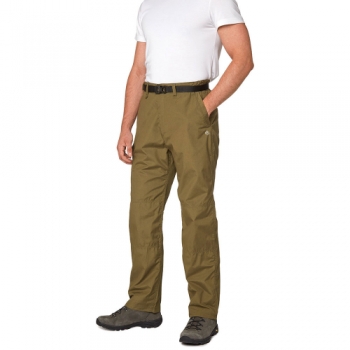 Craghoppers Mens Kiwi Classic Nosi Defence Walking Trousers 42R - Waist 42' (107cm), Inside Leg 31'