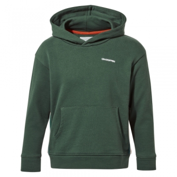 Craghoppers Boys NosiLife Baylor Hooded Sweater Hoodie 11-12 Years - Chest 29.5-31' (75-79cm)