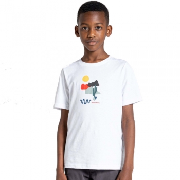 Craghoppers Boys Tate Relaxed Fit Short Sleeve T Shirt 11-12 Years - Chest 29.5-31' (75-79cm)