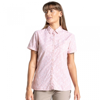 Craghoppers Womens NosiLife Tillia Short Sleeve Shirt 10 - Bust 34' (86cm)