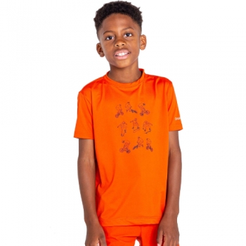 Dare 2b Boys Rightful Lightweight Wicking Graphic T Shirt 14 Years - Chest 86-98cm (Height 164-170cm)