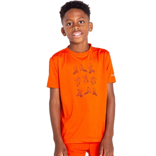 Dare 2b Boys Rightful Lightweight Wicking Graphic T Shirt 14 Years - Chest 86-98cm (Height 164-170cm)