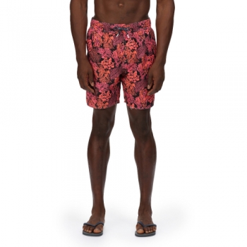 Regatta Mens Hamza Quick Drying Printed Swimming Shorts XXL- Waist 41-43' (104-109cm)