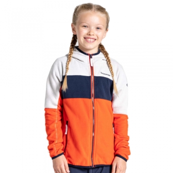 Craghoppers Boys Linden Hooded Micro Fleece Jacket 11-12 Years - Chest 29.5-31' (75-79cm)