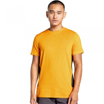 Craghoppers Mens Atmos Lightweight Short Sleeve T Shirt XS - Chest 36' (91.44cm)