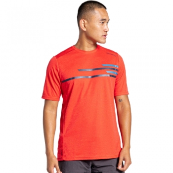 Craghoppers Mens Nosilife Pro Active Short Sleeve T Shirt S - Chest 38' (97cm)