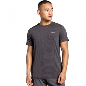 Craghoppers Mens Atmos Lightweight Short Sleeve T Shirt L - Chest 42' (107cm)