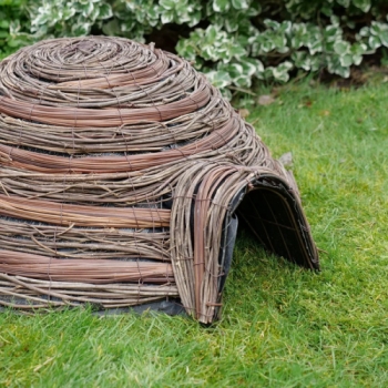 Wildlife World Dome Hedgehog Home