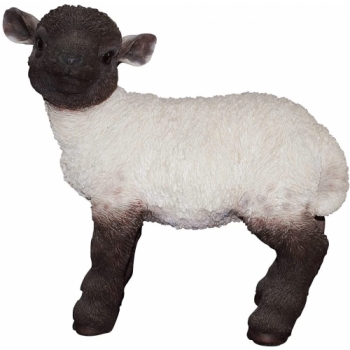 Vivid Arts Real Life Black/White Standing Lamb - Size B