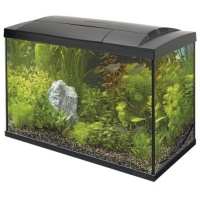 SuperFish Start 100 Tropical Kit (Black)