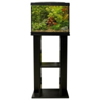 SuperFish Start 50 (Black) Stand