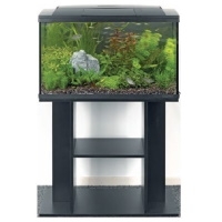 SuperFish Start 70 (Black) Stand