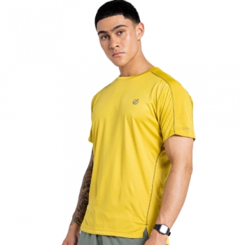 Dare 2b Mens Discernible Lightweight Wicking Running T Shirt L- Chest 42', (107cm)