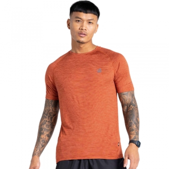 Dare 2B Mens Persist Lightweight Wicking Super Soft T Shirt L- Chest 42', (107cm)