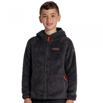 Craghoppers Boys Kaito Hooded Relaxed Fit Fleece Jacket 9-10 Years- Chest 27.25-28.75', (69-73cm)