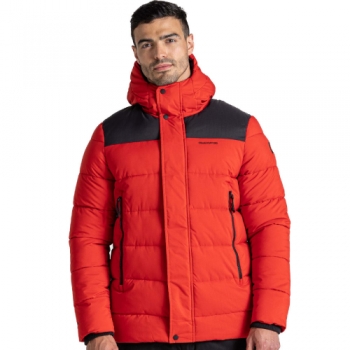 Craghoppers Mens Sutherland Hood InsulatedRelaxed Fit Jacket L - Chest 42' (107cm)