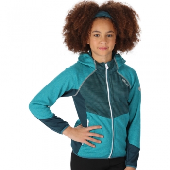 Regatta Girls Prenton Full Zip Hooded Fleece Jacket 11-12 Years - Chest 75-79cm (Height 146-152cm)