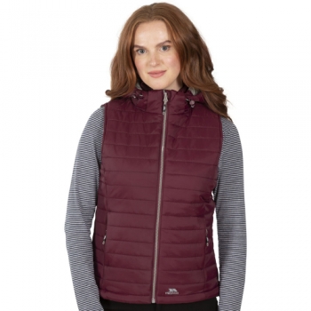 Trespass Womens/Ladies Aretha Padded Hooded Walking Gilet Bodywarmer XXS- UK 6, Bust 31' (78cm)