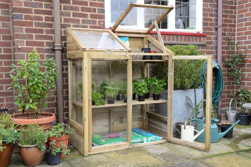 Forest Garden Mini Greenhouse