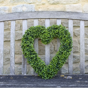 Smart Garden Boxwood Hanging Heart 40cm